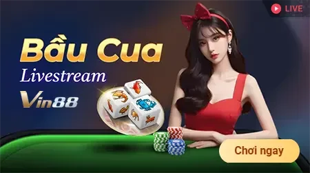 Những câu hỏi thường gặp khi tham gia các cuộc thi cấp độ King33 là gì? - King33