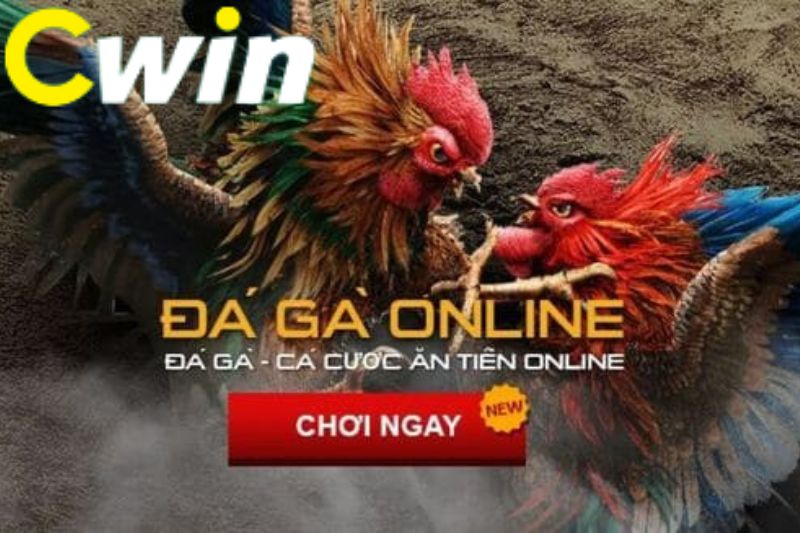 Các liên kết trỏ đến thông tin của Ho88 có an toàn không? - Ho88