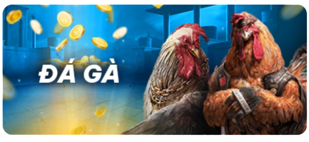 Trang web cá cược Sic Bo hàng đầu Xoso66 - Xoso66