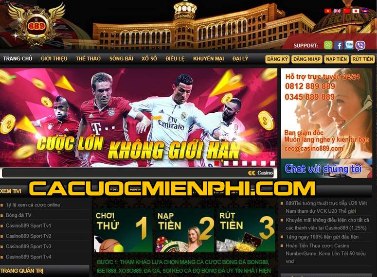 Trò chơi thể thao – Một tính năng quan trọng của hệ thống trò chơi Dk8 - Dk8