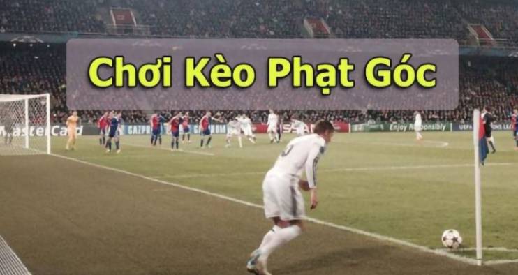Trang web cá cược Manbetx Hướng dẫn nạp tiền Manbetx - Manbetx