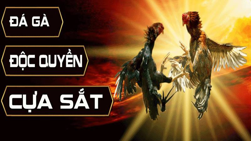 Được thăng cấp lên cầu thủ cấp Win58 - Win58