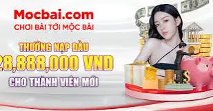 Truy cập Sodo trên máy tính của bạn - Sodo