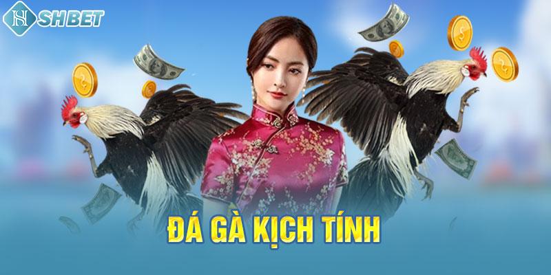 Các trò chơi được cung cấp bởi nền tảng 123Win - 123Win