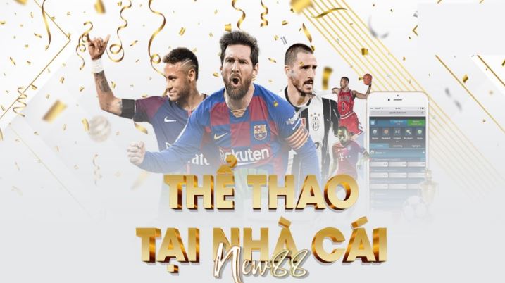 Thông tin chi tiết về các yêu cầu để được thăng cấp lên cấp độ Pq88 - Pq88