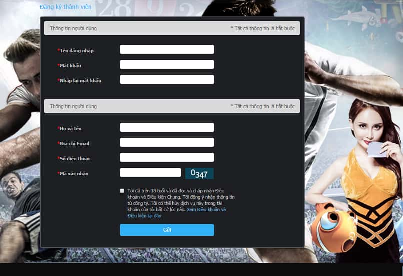 Thông tin về trang web trò chơi chọi gà Typhu88 - Typhu88