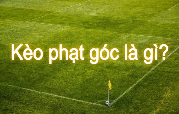 Lợi ích nhà ở Tp88 - Tp88